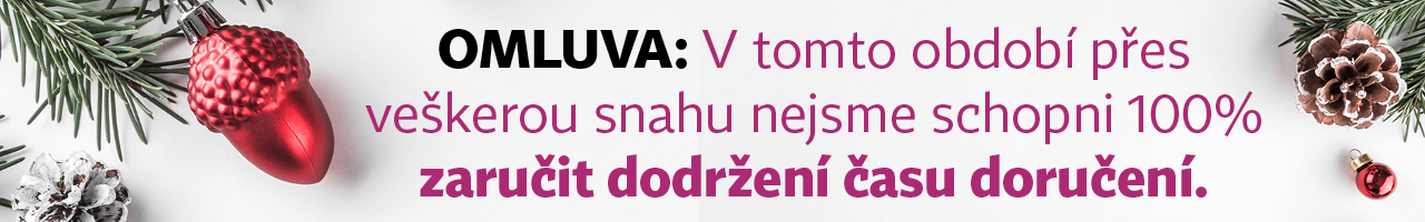 Banner Vánoce 2024 doparava