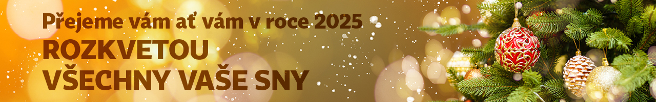 Vánoce banner 2025