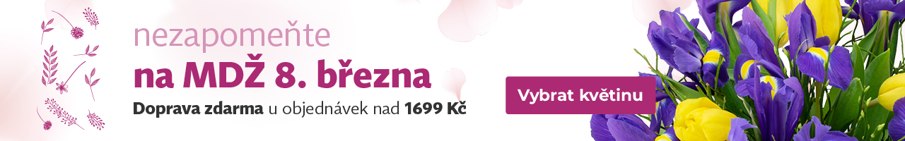 Banner MDŽ 2024/2