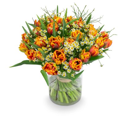 tulipány Queensday